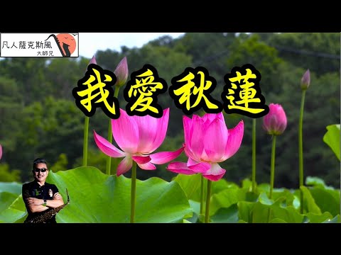 我愛秋蓮(Gm調)-凡人薩克斯風