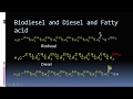 Biodiesel Chemistry Part 2 |Biodiesel vs  Fatty Acid | Cetane Number | FFA| Soap formation