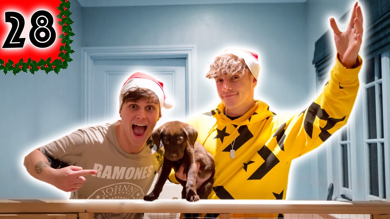 vlogs in spanish BUILDING BISCUIT A HOUSE! - VLOGMAS