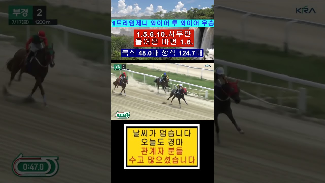 1.5.6.10.사두만 들어온 마번 1.6.번 복 48.0배 영상보기
