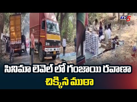 Ganja Racket Busted At Ashwaraopeta | Bhadradri Kothagudem District || TV5 News - TV5NEWS