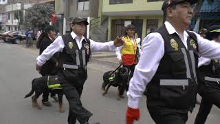 DESFILE Y PASACALLE POR ANIV. DE ATE. VALLE GRANDE PENTA CAMPEÓN