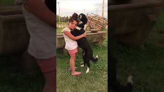 Little Girl and Dog Hugging Each Other