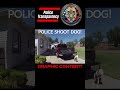 Shocking Incident: Ogden Police Shoot Dog Unexpectedly #dog