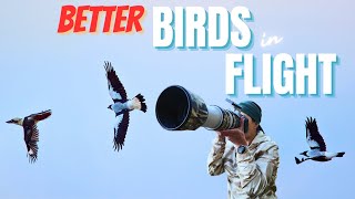 4 Things to Think About to Elevate Your Birds in Flight | Bird Photography with Canon R5