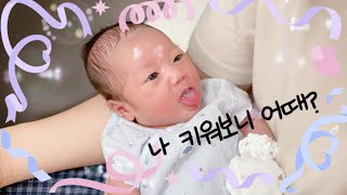 생후 한달 | 신생아 하임이 영상 짜집기🤭, 강아지 첫만남, 벚꽃놀이🌸