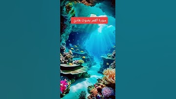 القران الكريم. .. #اكسبلور #الرحمن #اهميه #duet #motivation # #gaming #دويتو #الرمال #القرآن_الكريم