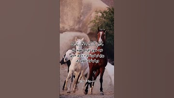 سورة ال عمران
