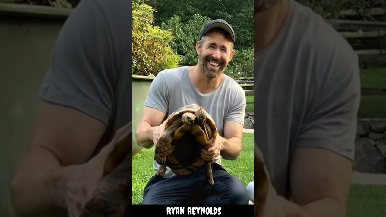 Ryan Reynolds From Comedy Star To Hollywood Icon Ryanreynolds Deadpool