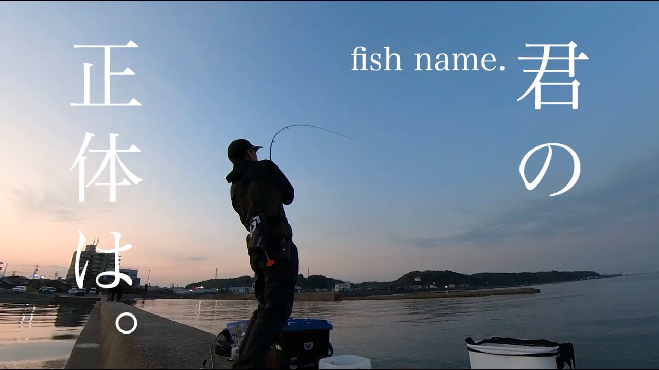 【愛知・知多半島】マゴチを狙って再び河和港へ。しかし大物に。。。