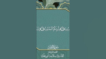 من فواتح سوره القلم بصوت القارئ سلامه بن عقل #دويتو #اكسبلور #تيك_توك #اكسبلوور #راحة #لايك #