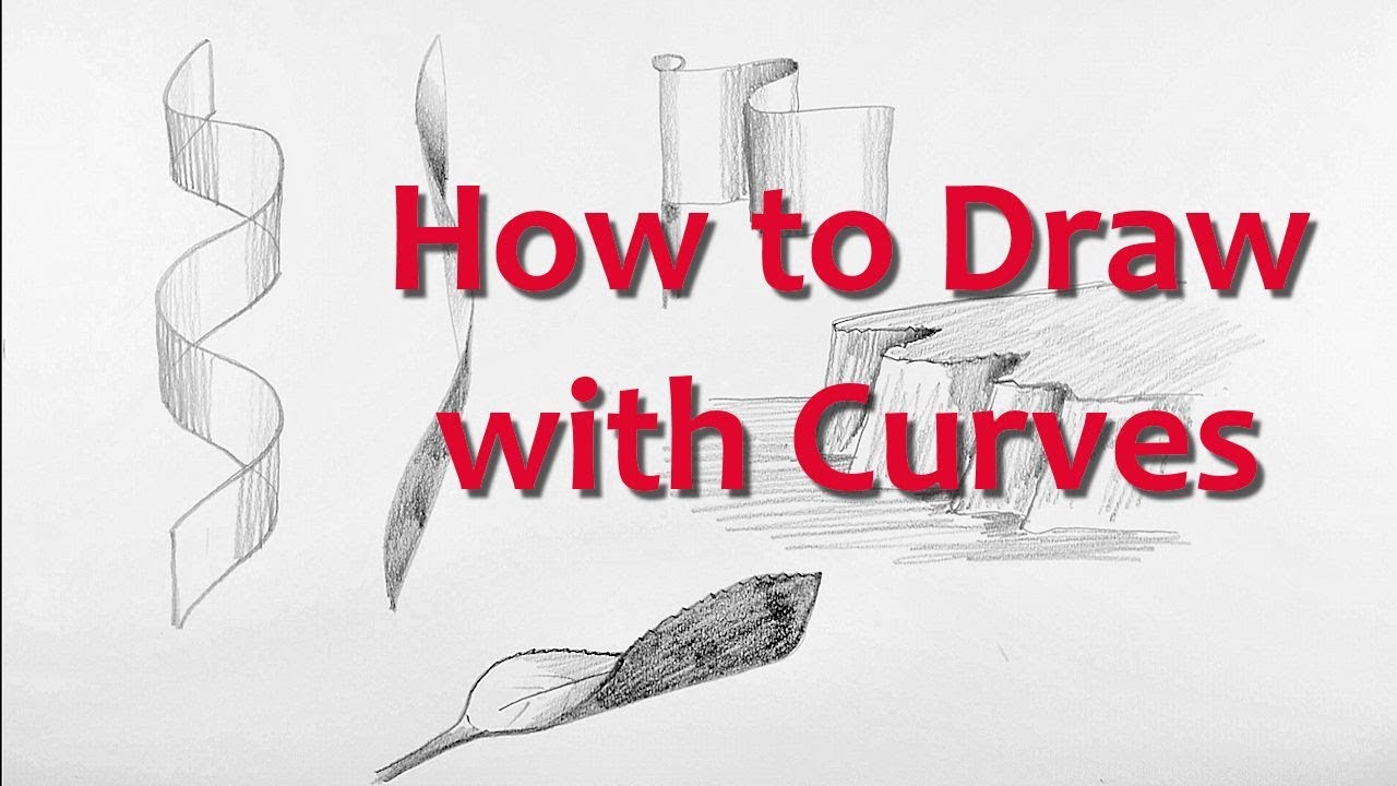 Drawing for Beginners: PART 1- Draw with Curves 