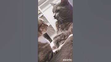 When you check if your lady is still mad at you