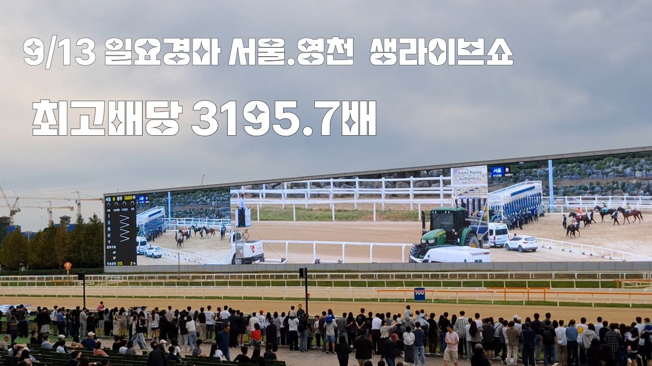 영천경마장은 처음이야? 적응력찾기힘들었던 일요경마(서울.영천 생라이브쇼)