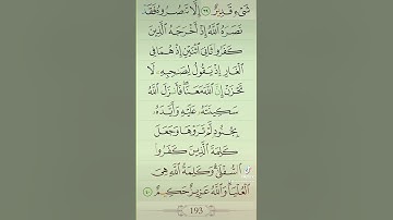 آيات من القرآن الكريم 💞 سورة التوبة 💞 الآية 40