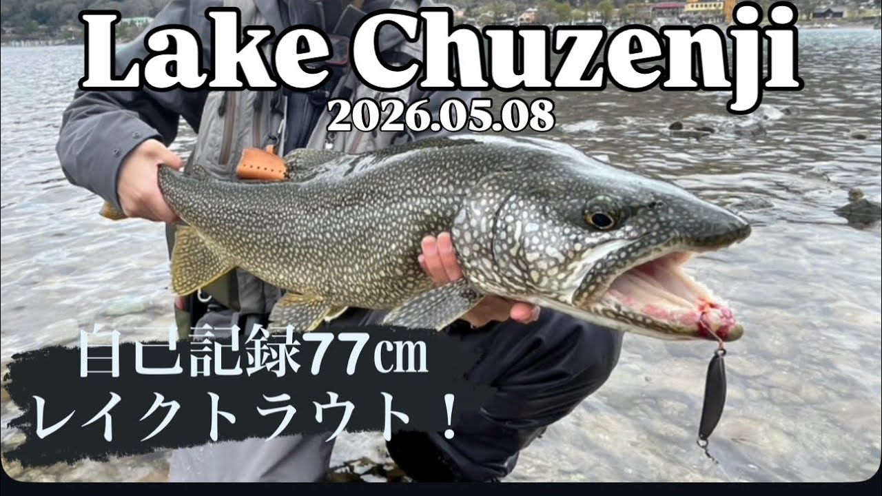 2026中禅寺湖】レイクトラウトヒット放浪記4 自己記録更新！ビッグ