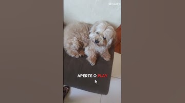 Thumbnail of DJ aperte o play
