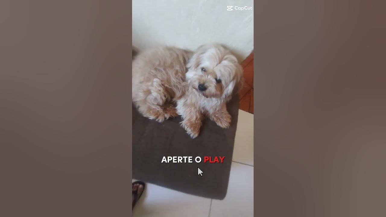 DJ aperte o play