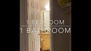 Avery Floor Plan 1 bedroom apartment home