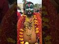 Golkonda Bonalu Special attraction potharaju Dance #potharajudance2024 #potharajudance