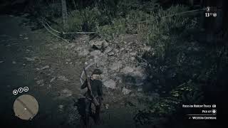 RDR2 Online - Western Chipmunk locations for Daily Challenge