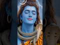ओम namha shivye #shiv #mahadev #bhajan #bhakti #devotionalbhajan #Ytshots