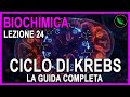 Il CICLO di KREBS in 15 MINUTI : Guida COMPLETA per l'ESAME -Biochimica Lezione 24