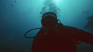 Scuba Diving the Bluffs with Scubaworks Jupiter Florida. Reefs and Ledges Two Tank Dive.