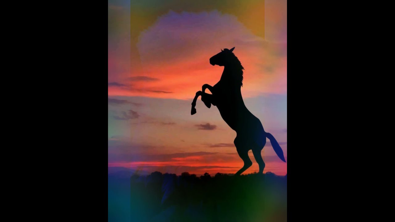 Types of animals - YouTube