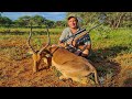 Impala Hunt, One For The Pot, Limpopo South Africa - Tenderloin Medallions!!
