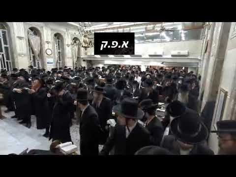 Last Sefira Of 5783 In Pinsk Karlin 