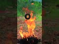 Burning magnet experiment  m4 tech  shorts