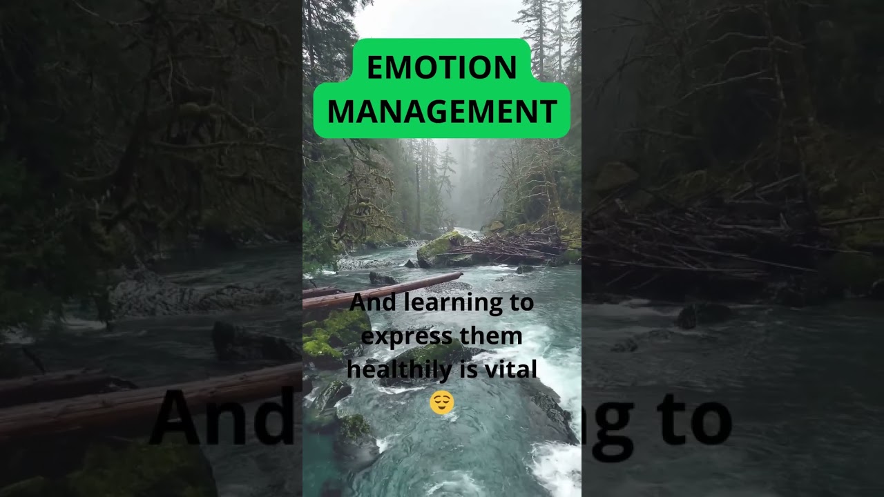 emotion management 