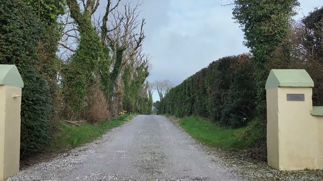 Start of Spring in Aubane and Kilcorney Area`s Tuesday March 3rd 2026