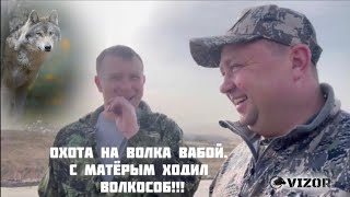 Охота на волка вабой. 1300 км за четверо суток. Волкособ с матерым!