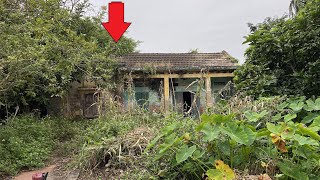 Terrified when the bonsai tree obscures the house | Cleaning out house abandoned for 15 year | clean