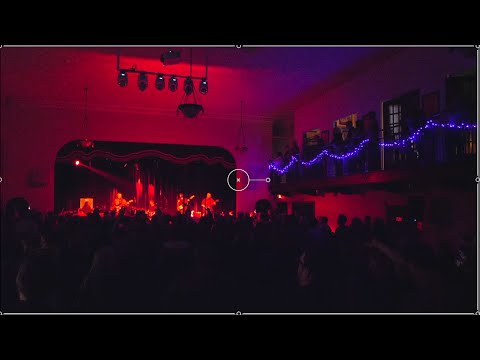 The Seapods   2/11/2023  (Full Show) Lark Hall, Albany, NY  Pro Shot