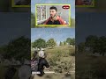 When Anger Ruins a Perfect 1v3 😡 #shorts #pubgpc