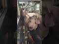 二師兄看什麼呢？