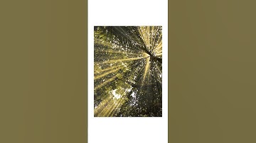 How to use pro mode in mobile 📱 #smartphone #photography #photoediting