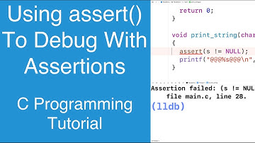 Using assert() To Help Debug Our Program With Assertions | C Programming Tutorial