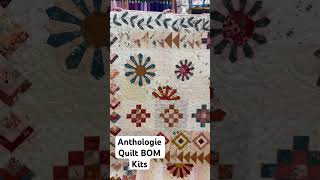 Anthologie Quilt - 2024 Block of the Month program hosting by Beehive Quilt Shop. Details online.