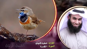 سورة الهمزة | الختمة المرتلة | القارئ صفوت قلموش .HD