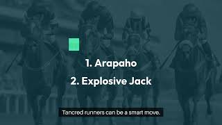 Sydney Cup System 2026