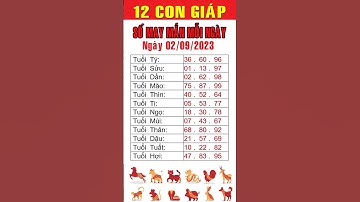 Con số may mắn ngày 02-09-2023 cho 12 con giáp #consomaymanhomnay #tailocmayman #xuhuong