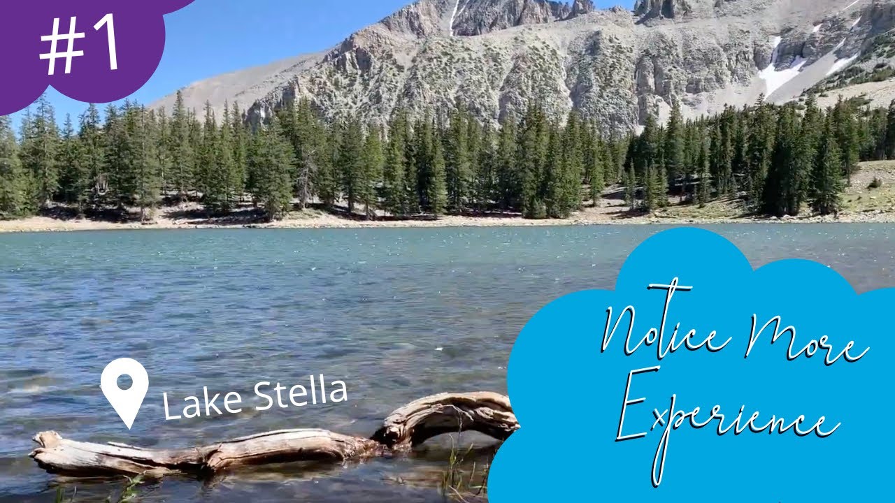 "Notice More" Experience from Lake Stella YouTube