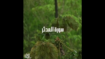 سورة : المدثر القارئ : هلويست نصر الدين