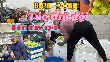 Nhộn Nhịp Chợ Táo Ngày 17/2 Tại Thị Trấn Biển Động Lục Ngạn Bắc Giang ...