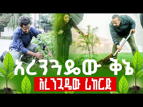 ታሪካዊው ሰበር አረንጓዴው ቅኔ አረንጓዴው ሪከርድ
