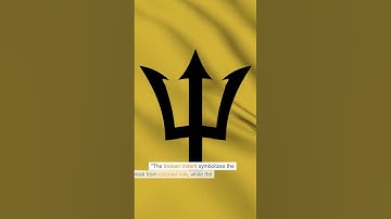 The Flag with The Broken Trident - Barbados #facts #flags #barbados